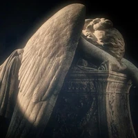 𝐂𝐫𝐞𝐚𝐭𝐨𝐫 : 𝙇𝙮𝙖𝙣 .