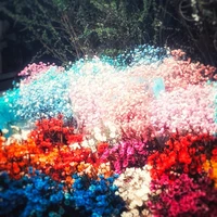 Hệ thống của Kari
