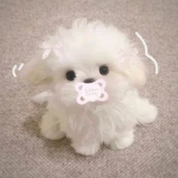 ᴊɪɴ ᴛᴏ̂̉ɴɢ ɢᴀ ʟᴀ̆ɴɢ ᴄʜᴜ̛́ ᴋᴏ ᴛɪɴʜ ᴛᴇ̂́