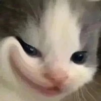 mely t/g con lười chính hiệu