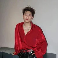 Dương Domic