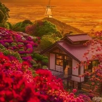 mấy đám người ở dưới