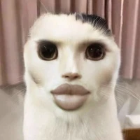 t yêu mica(hacoru tami)