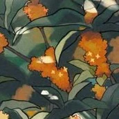 Giáo viên (Nam)