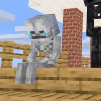 Skeleton [ Skelly ]