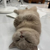 Tác giả