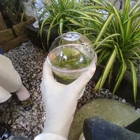 tác giả yêu matcha