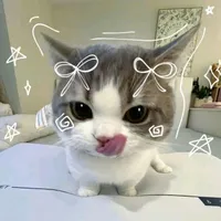 T/g kittymeoz