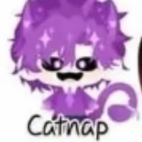 catnap