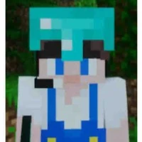 Bon _ Mega smp