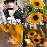 Chu Chí Hâm