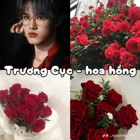 Trương Cực