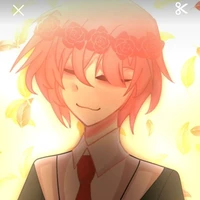 tt hiha