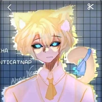 anti catnap