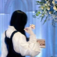 Anh Tuyet - Tác Giả 