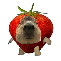 T/g Lupni