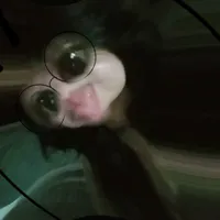 Elyy đây🦋