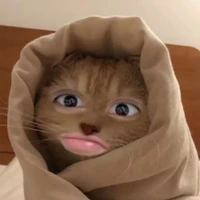 Đa nhân vật