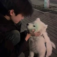Park Min Seok