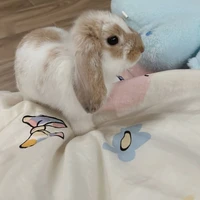 Bé Sú Đáng Yêuu