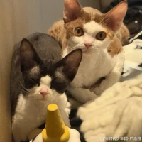 Tác giả đáng iuu