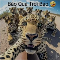 bộ ba vô tri