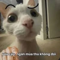 all Giáo viên(trừ ai thì trừ)