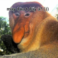 @all