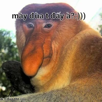 @all