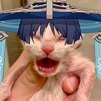 Tg