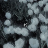 ° ?. °