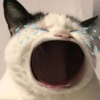 tg / hệ thống tuntun