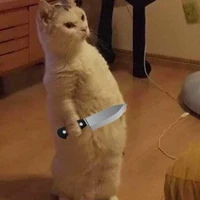 mèo méo meo