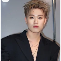 dương domic