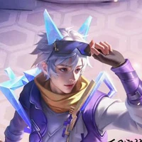 Elsu