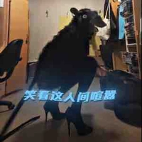 Hoàng Thượng Slay 😘 ( T/g ) 