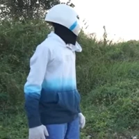 Ice sans