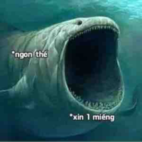 Mấy con giời có mặt