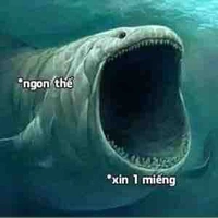 Mấy con giời có mặt