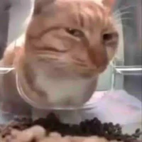 Cá_hệ thống_tác giả