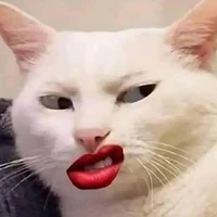 Con tác giả bêđê ham của