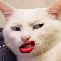 Con tác giả bêđê ham của