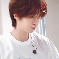 Hạ Tuấn Lâm (em)