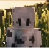 donmc