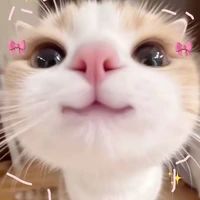 Hubi ( hệ thống)