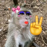 Lý Mon kì