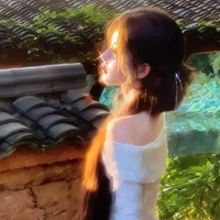 mai vy