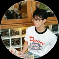 Nguyễn Lâm Anh