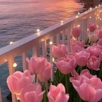 lại là tác giả đâyyyy