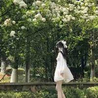 Lê Trịnh Kim Dung